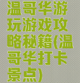 温哥华游玩游戏攻略秘籍(温哥华打卡景点)