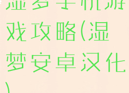 湿梦手机游戏攻略(湿梦安卓汉化)