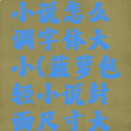 菠萝包轻小说怎么调字体大小(菠萝包轻小说封面尺寸大小)