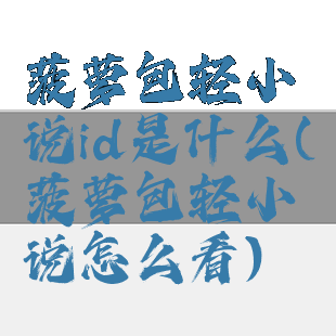 菠萝包轻小说id是什么(菠萝包轻小说怎么看)