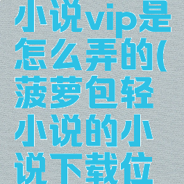 菠萝包轻小说vip是怎么弄的(菠萝包轻小说的小说下载位置)