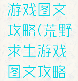 荒野求生游戏图文攻略(荒野求生游戏图文攻略视频)