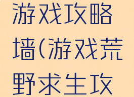 荒野求生游戏攻略墙(游戏荒野求生攻略秘籍)