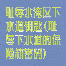 耻辱水淹区下水道钥匙(耻辱下水道的保险箱密码)
