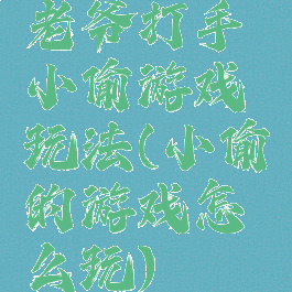 老爷打手小偷游戏玩法(小偷的游戏怎么玩)