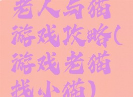 老人与猫游戏攻略(游戏老猫找小猫)