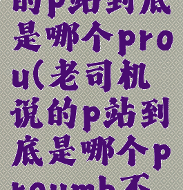 老司机说的p站到底是哪个prou(老司机说的p站到底是哪个proumb不用vip)