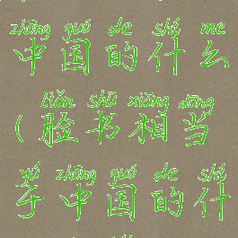 脸书相当于中国的什么(脸书相当于中国的什么平台)