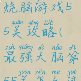 脑力王者烧脑游戏55关攻略(最强大脑第55关怎么过?)