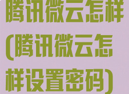 腾讯微云怎样(腾讯微云怎样设置密码)