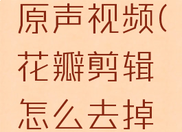 花瓣剪辑怎么去掉原声视频(花瓣剪辑怎么去掉视频的黑边)