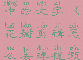 花瓣剪辑怎么去掉视频中的文字(花瓣剪辑怎么去掉视频中的文字内容)