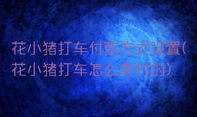 花小猪打车付款方式设置(花小猪打车怎么支付的)