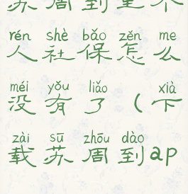 苏周到里个人社保怎么没有了(下载苏周到app)