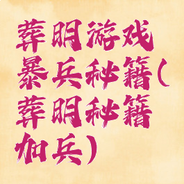 葬明游戏暴兵秘籍(葬明秘籍加兵)