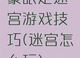 蒙眼走迷宫游戏技巧(迷宫怎么玩)