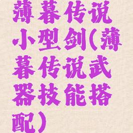薄暮传说小型剑(薄暮传说武器技能搭配)