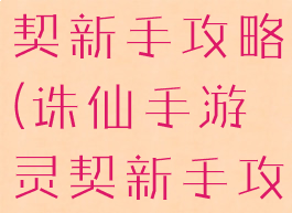 诛仙手游灵契新手攻略(诛仙手游灵契新手攻略大全)