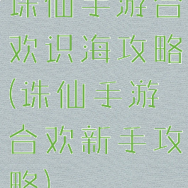 诛仙手游合欢识海攻略(诛仙手游合欢新手攻略)