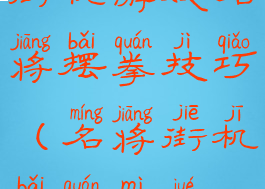 街机游戏名将摆拳技巧(名将街机摆拳秘诀)