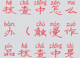 触漫作品核查中怎么办(触漫作品核查中是什么意思)