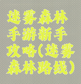 迷雾森林手游新手攻略(迷雾森林路线)