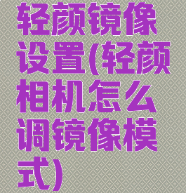 轻颜镜像设置(轻颜相机怎么调镜像模式)