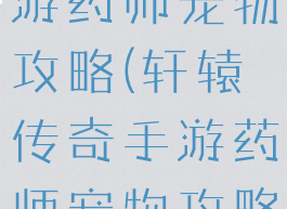 轩辕传奇手游药师宠物攻略(轩辕传奇手游药师宠物攻略大全)