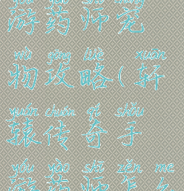 轩辕传奇手游药师宠物攻略(轩辕传奇手游药师怎么玩)