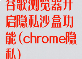 谷歌浏览器开启隐私沙盒功能(chrome隐私)