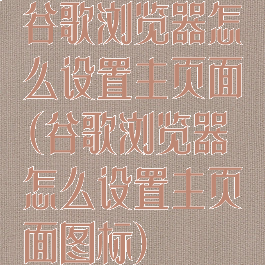 谷歌浏览器怎么设置主页面(谷歌浏览器怎么设置主页面图标)