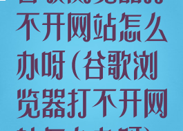 谷歌浏览器打不开网站怎么办呀(谷歌浏览器打不开网站怎么办呀)