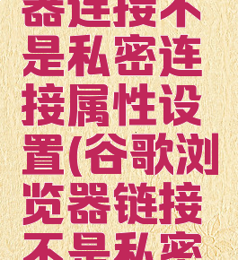 谷歌浏览器连接不是私密连接属性设置(谷歌浏览器链接不是私密的)