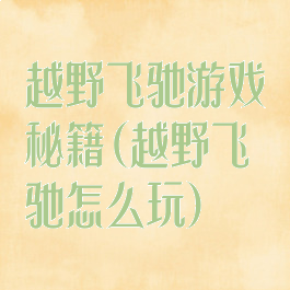 越野飞驰游戏秘籍(越野飞驰怎么玩)