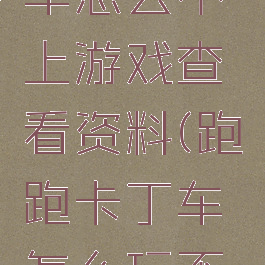 跑跑卡丁车怎么不上游戏查看资料(跑跑卡丁车怎么玩不了)