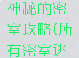 逃脱游戏神秘的密室攻略(所有密室逃脱攻略)