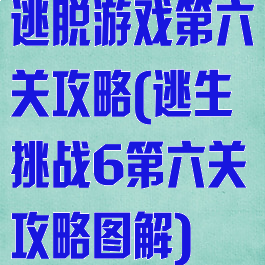 逃脱游戏第六关攻略(逃生挑战6第六关攻略图解)