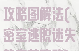 逃脱游戏宝藏攻略图解法(密室逃脱迷失的宝藏攻略)