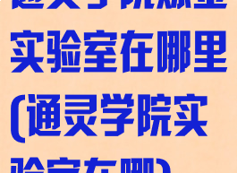 通灵学院炼金实验室在哪里(通灵学院实验室在哪)