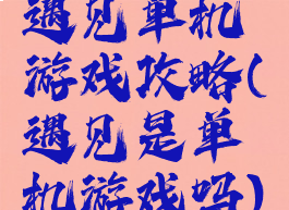 遇见单机游戏攻略(遇见是单机游戏吗)