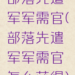 部落先遣军军需官(部落先遣军军需官怎么获得)