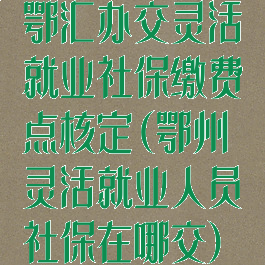 鄂汇办交灵活就业社保缴费点核定(鄂州灵活就业人员社保在哪交)