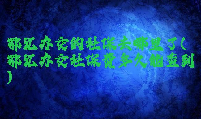 鄂汇办交的社保去哪里了(鄂汇办交社保费多久能查到)