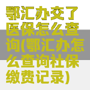 鄂汇办交了医保怎么查询(鄂汇办怎么查询社保缴费记录)