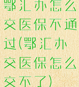 鄂汇办怎么交医保不通过(鄂汇办交医保怎么交不了)