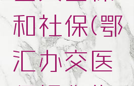 鄂汇办怎么交医保和社保(鄂汇办交医保操作指南)