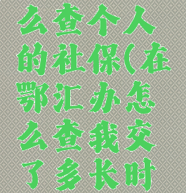 鄂汇办怎么查个人的社保(在鄂汇办怎么查我交了多长时间)