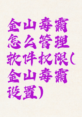 金山毒霸怎么管理软件权限(金山毒霸设置)