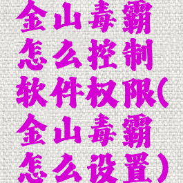 金山毒霸怎么控制软件权限(金山毒霸怎么设置)