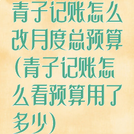 青子记账怎么改月度总预算(青子记账怎么看预算用了多少)